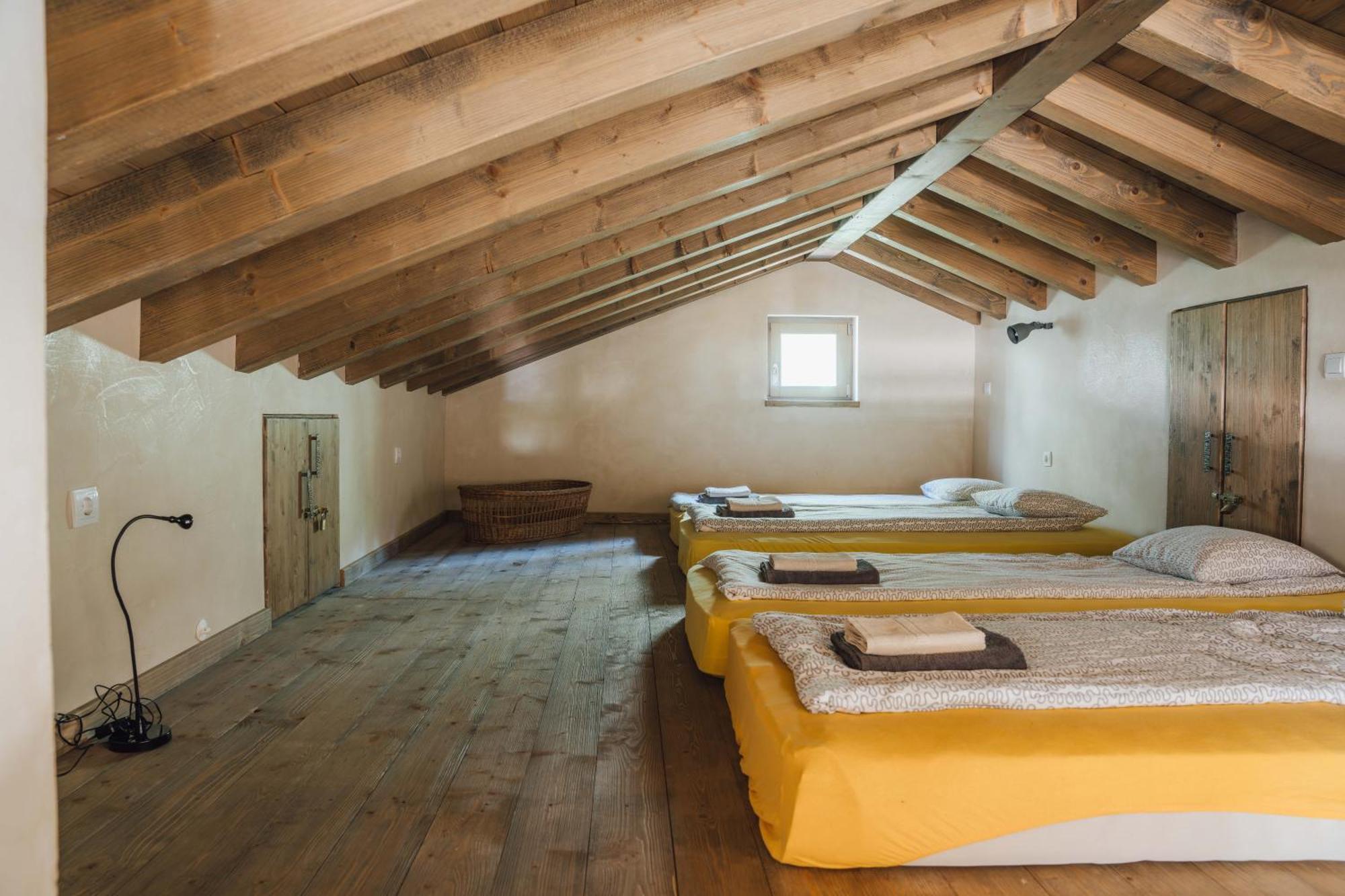 Villa Birds House Rovinj Exterior foto